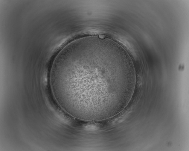 X0000094450358200711151432
