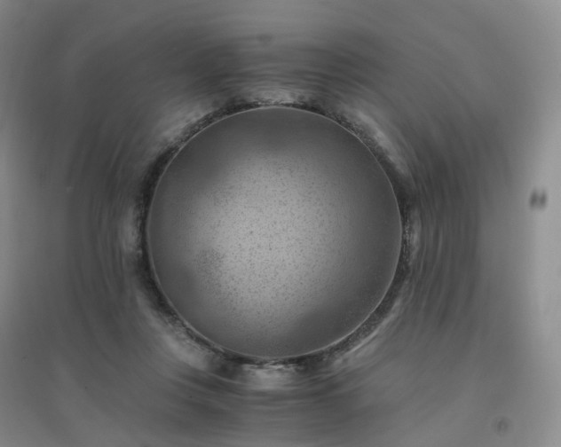 X0000094450359200711151432