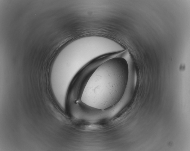 X0000094450360200711151432