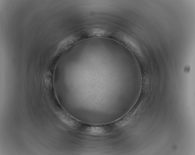X0000094450361200711151432