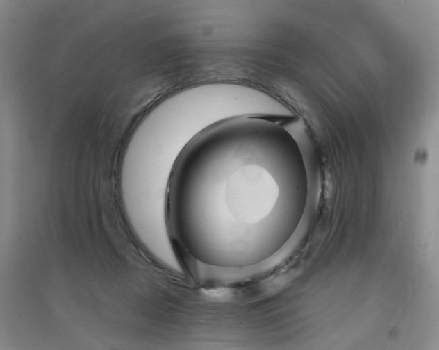 X0000094450362200711151432