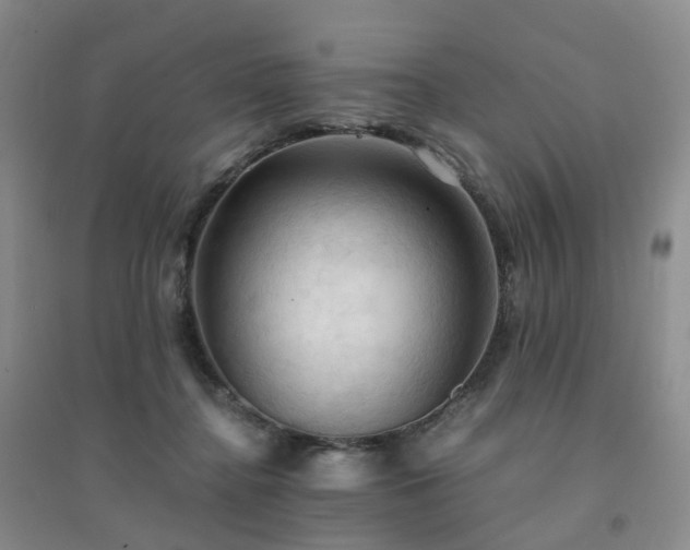 X0000094450364200711151433