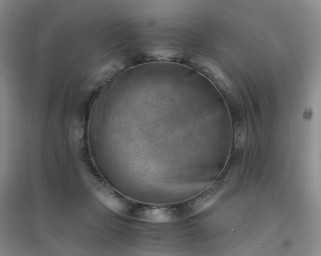 X0000094450365200711151433