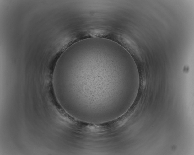 X0000094450367200711151433
