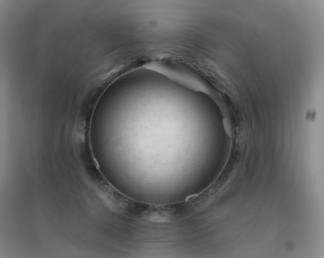 X0000094450368200711151433