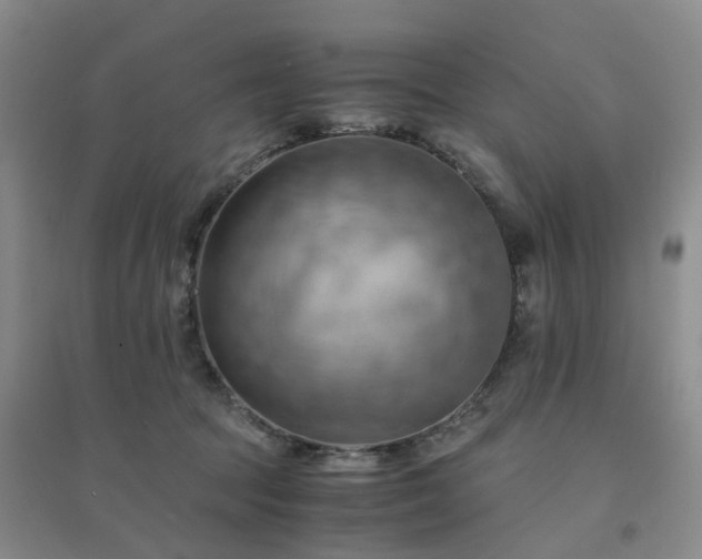 X0000094450369200711151433