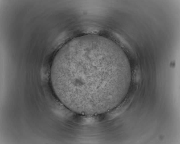 X0000094450370200711151433