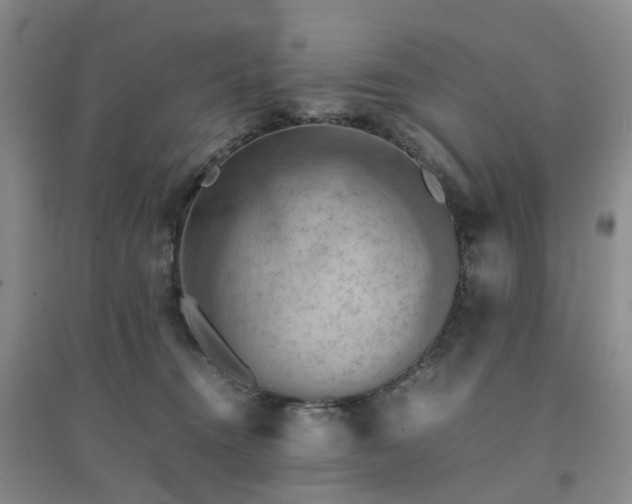 X0000094450372200711151433