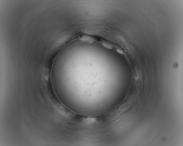 X0000094450374200711151433