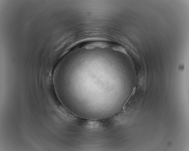 X0000094450376200711151433