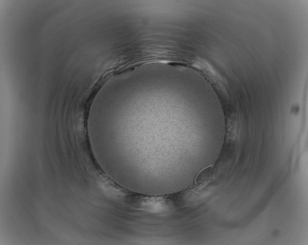 X0000094450377200711151433