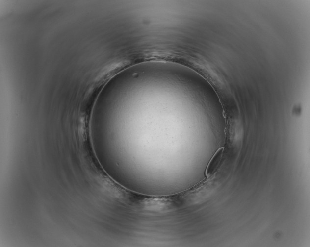 X0000094450378200711151433