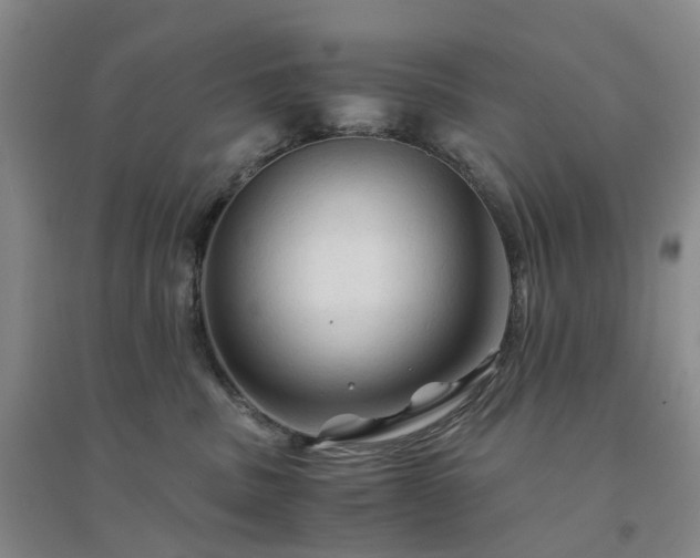 X0000094450379200711151433
