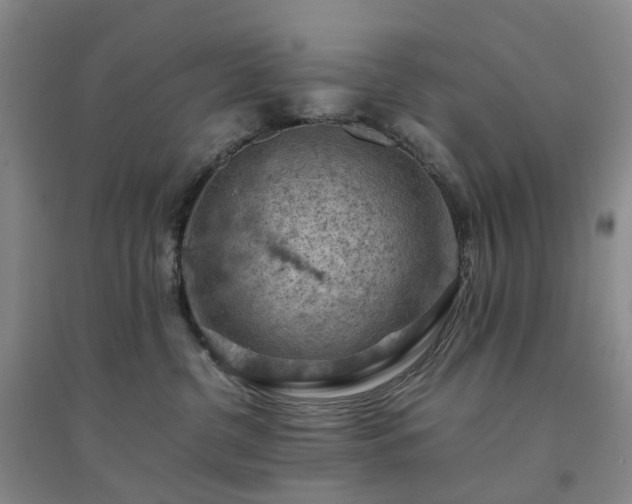 X0000094450380200711151433