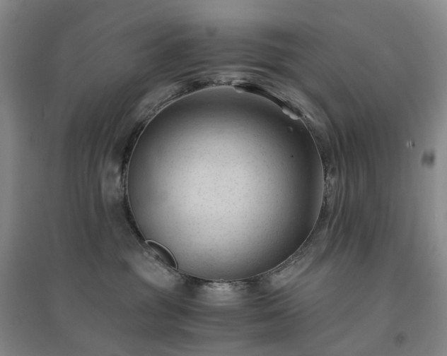 X0000094450381200711151433