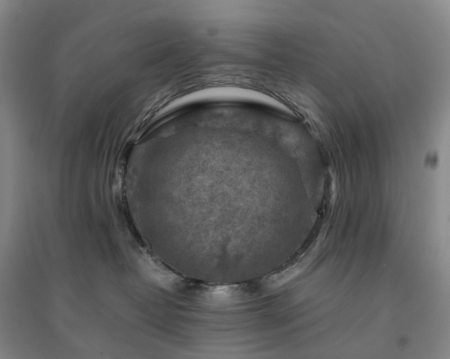 X0000094450382200711151433