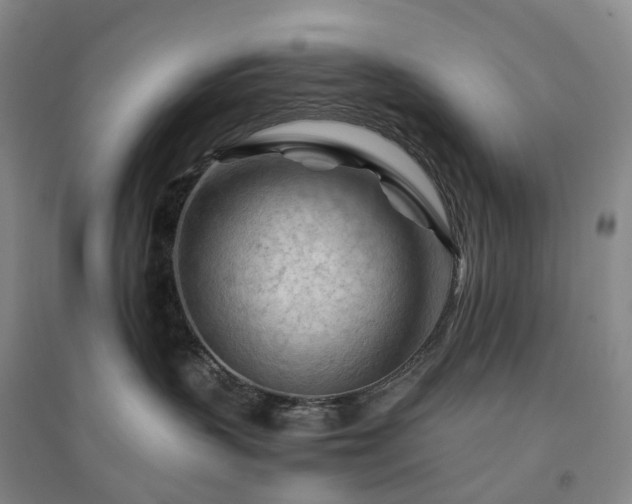 X0000094450383200711151433