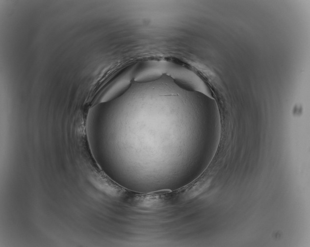 X0000094450384200711151433