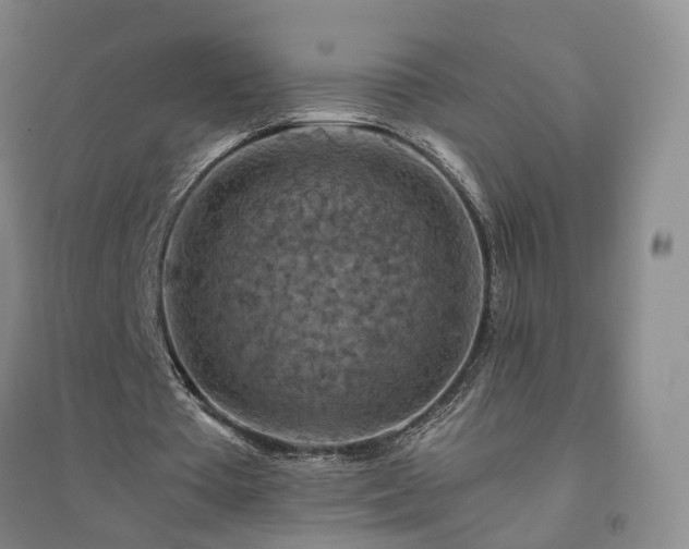 X0000094450385200711151432