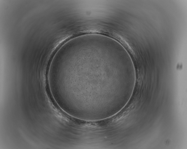 X0000094450386200711151432
