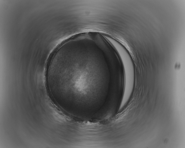 X0000094450387200711151432
