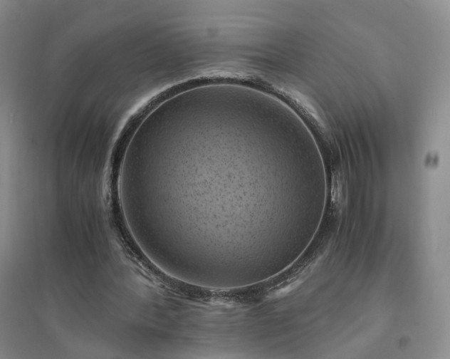 X0000094450388200711151432