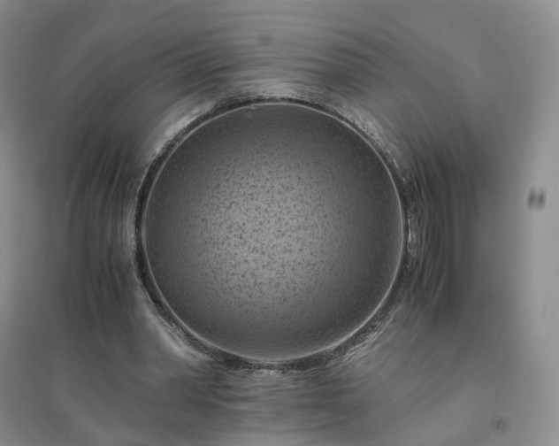 X0000094450390200711151432