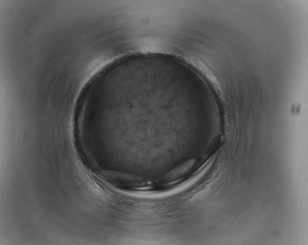 X0000094450391200711151432