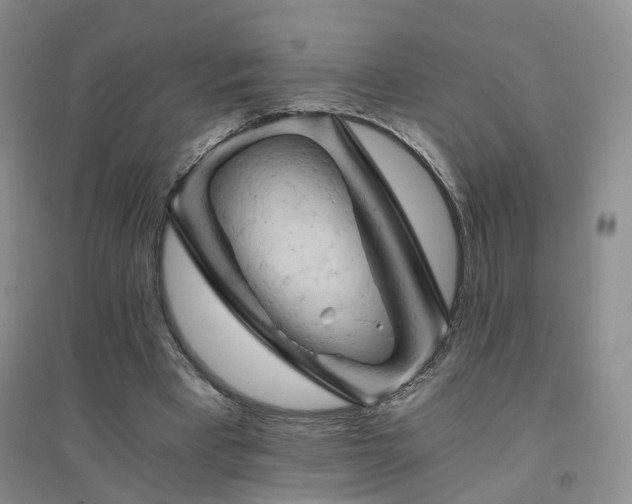 X0000094450393200711151432