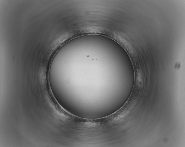X0000094450394200711151432