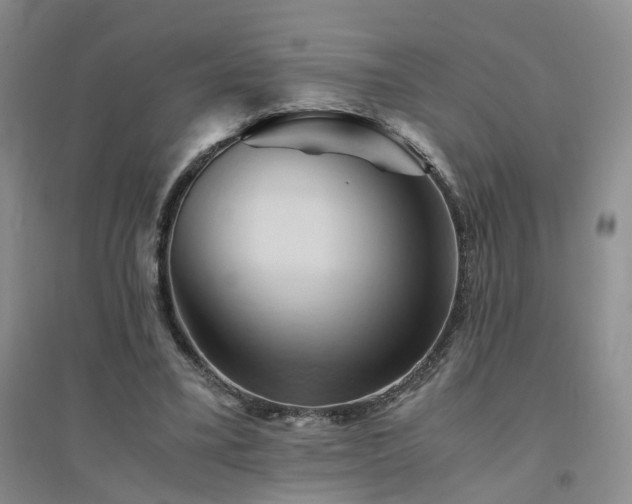 X0000094450395200711151432