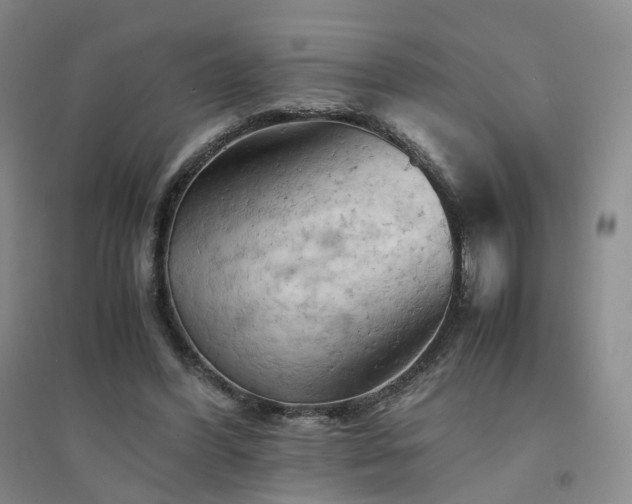 X0000094450396200711151432