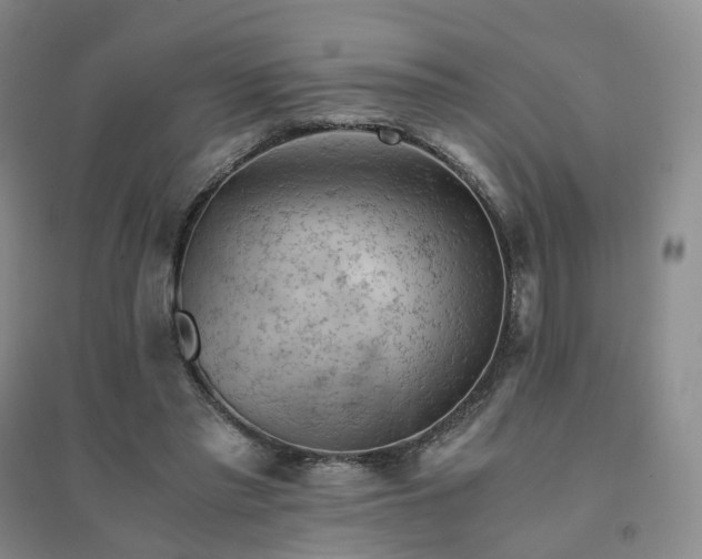 X0000094450397200711151432