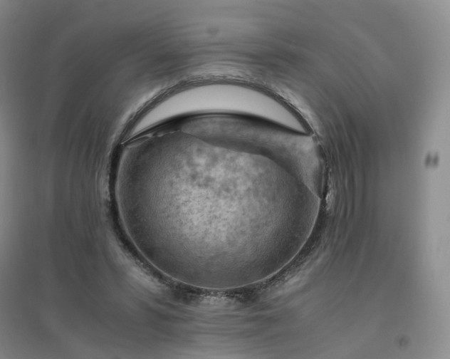 X0000094450399200711151432