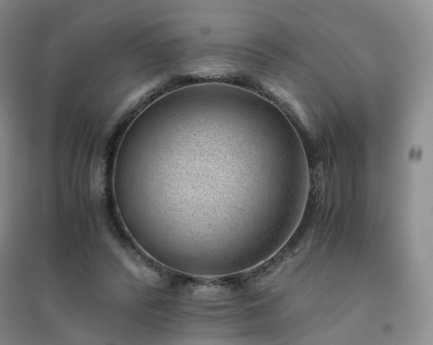X0000094450400200711151432