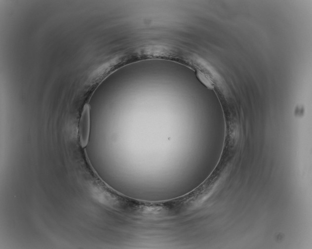 X0000094450401200711151432