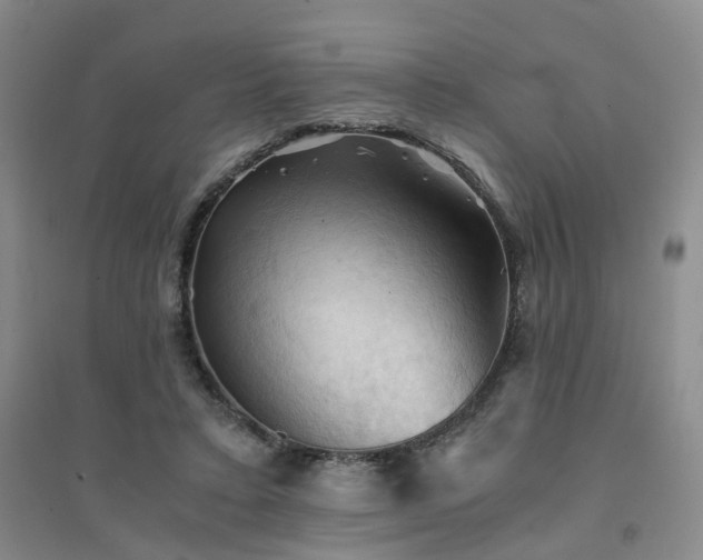 X0000094450403200711151432