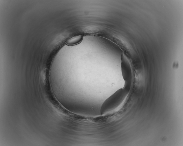 X0000094450404200711151432