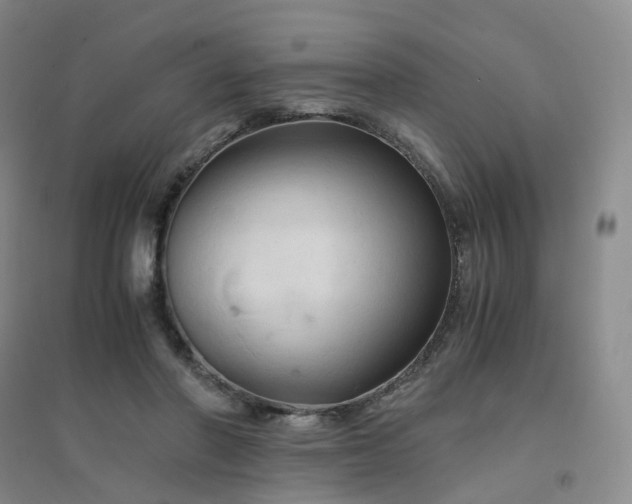 X0000094450406200711151432