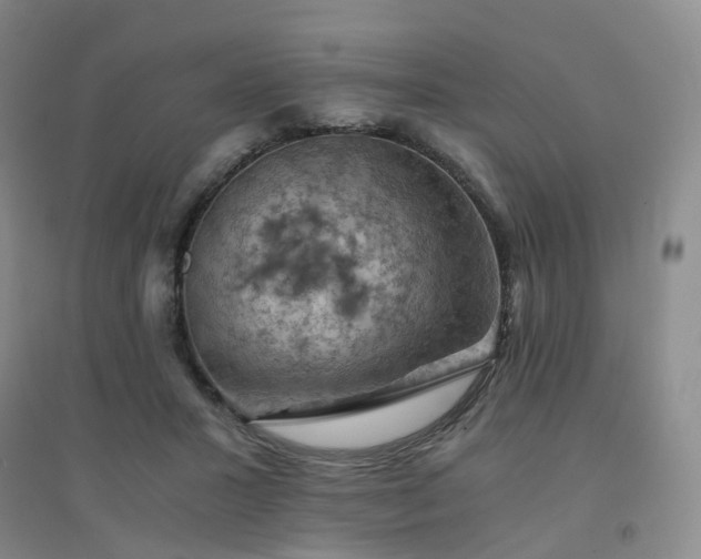 X0000094450407200711151432