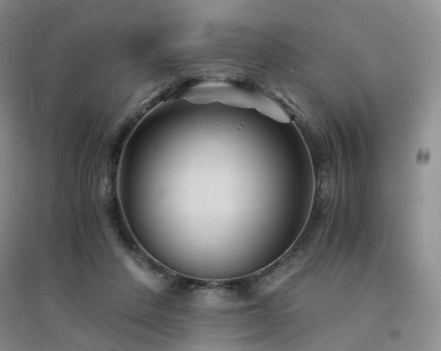 X0000094450408200711151432