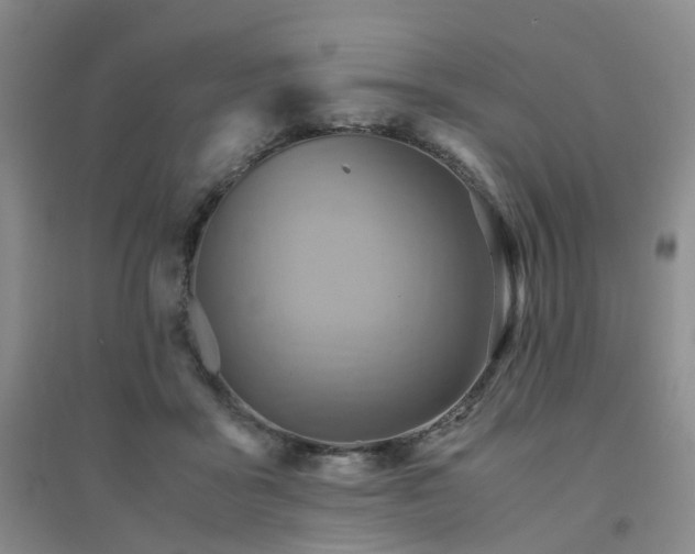 X0000094450411200711151432