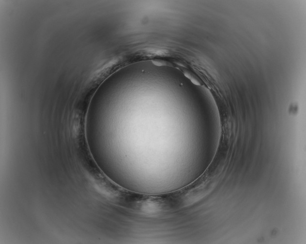 X0000094450412200711151432