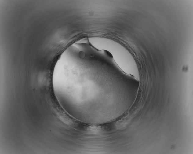 X0000094450413200711151432