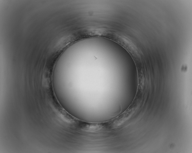X0000094450414200711151432