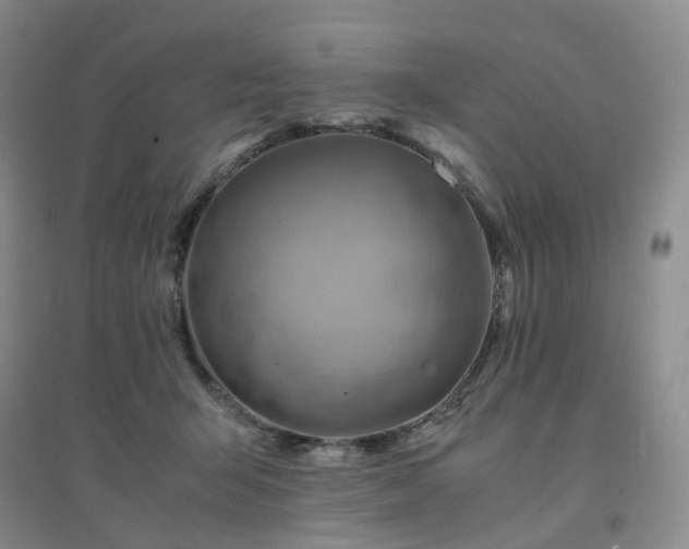 X0000094450415200711151432