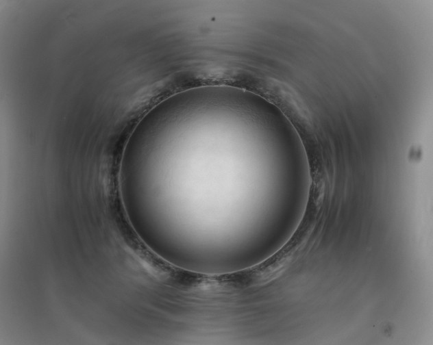 X0000094450416200711151432