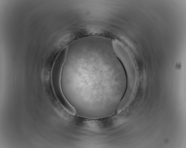 X0000094450417200711151432