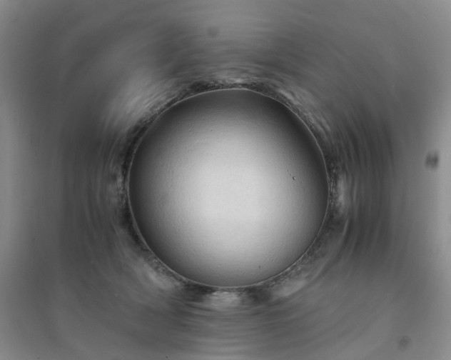 X0000094450418200711151432