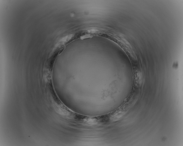 X0000094450419200711151432